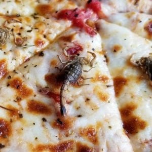 scorpion-pizza