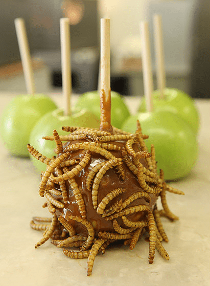 worm-candy-apple